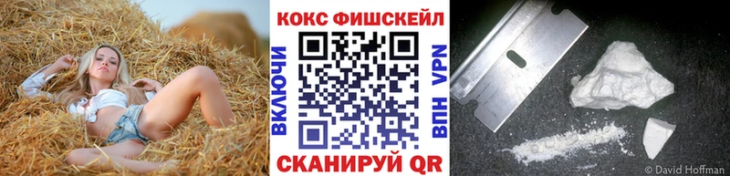 Кокаин Fish Scale  ОМГ ОМГ вход  Карабаново 