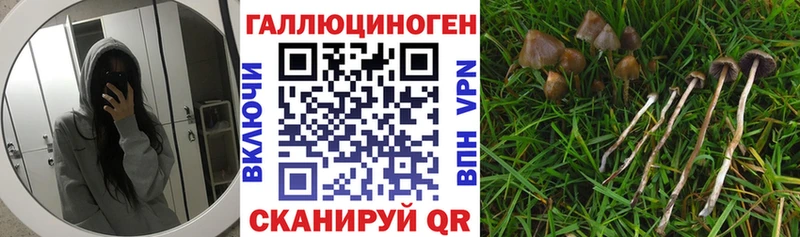 Галлюциногенные грибы GOLDEN TEACHER  Карабаново 